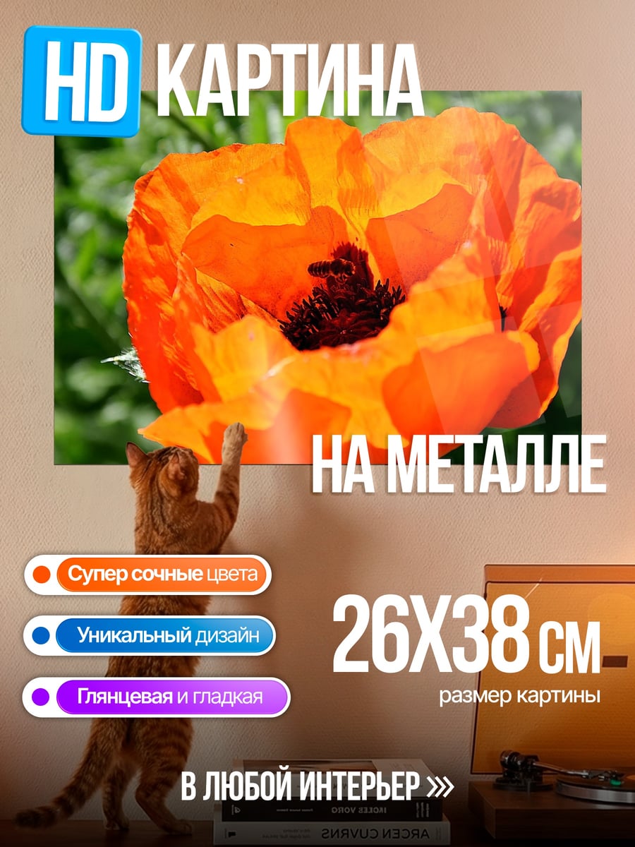 Картина на металле Оранжевый мак