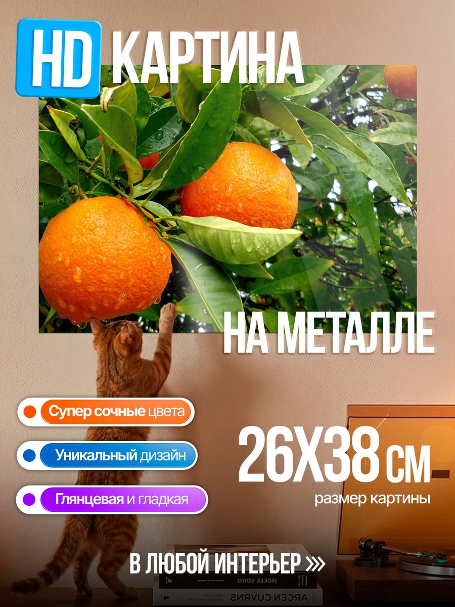 Картина на металле Мандарины на ветке