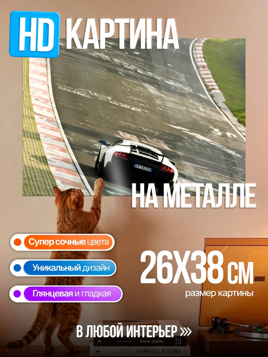 Картина на металле Спортивный автомобиль на трассе