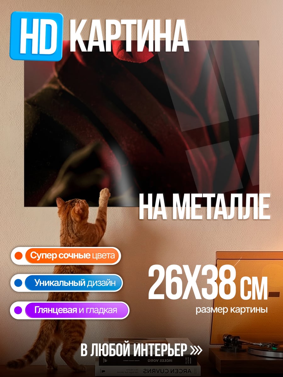 Картина на металле Дарт Мол