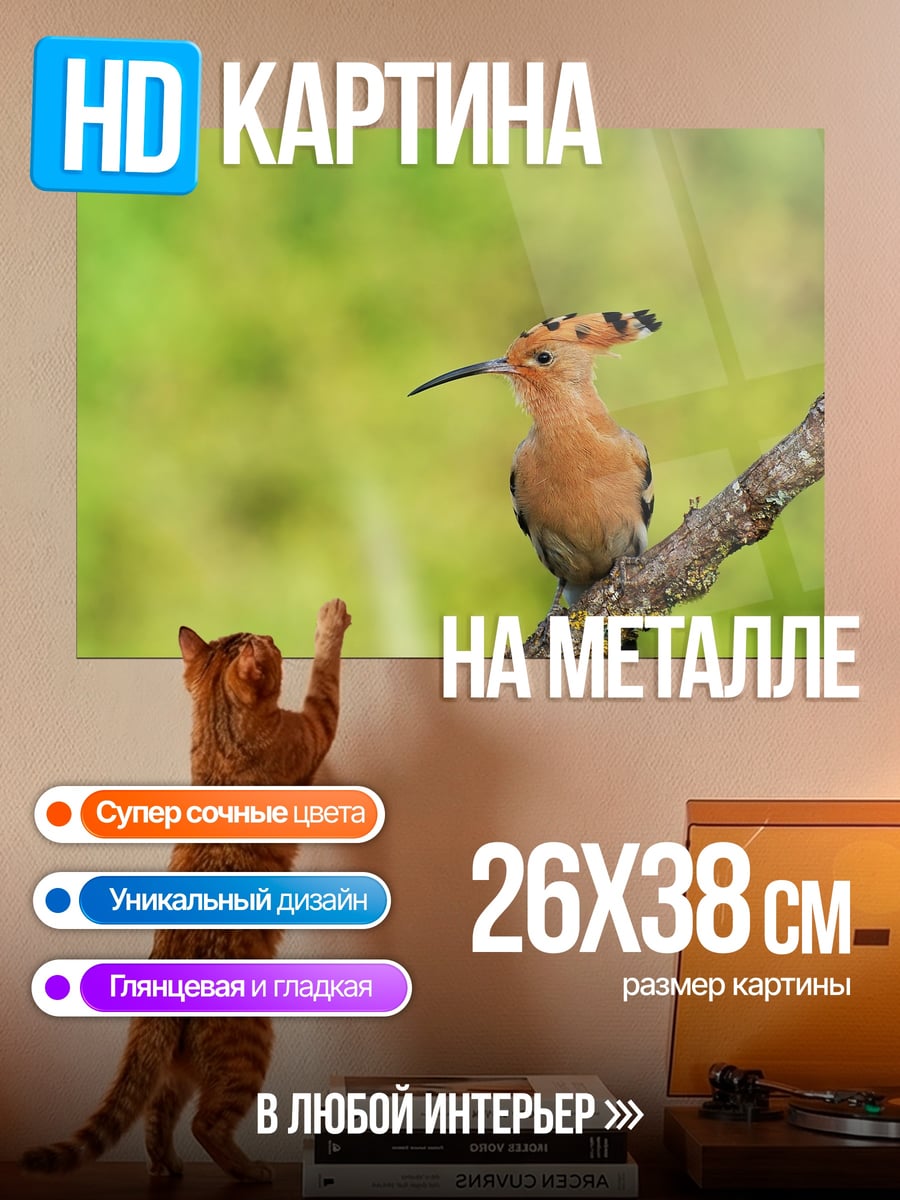Картина на металле Птица удод