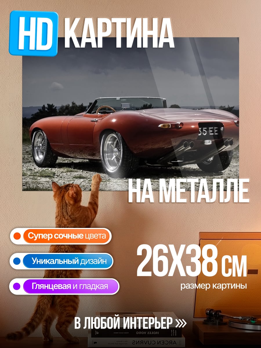 Картина на металле Рыжий спорткар