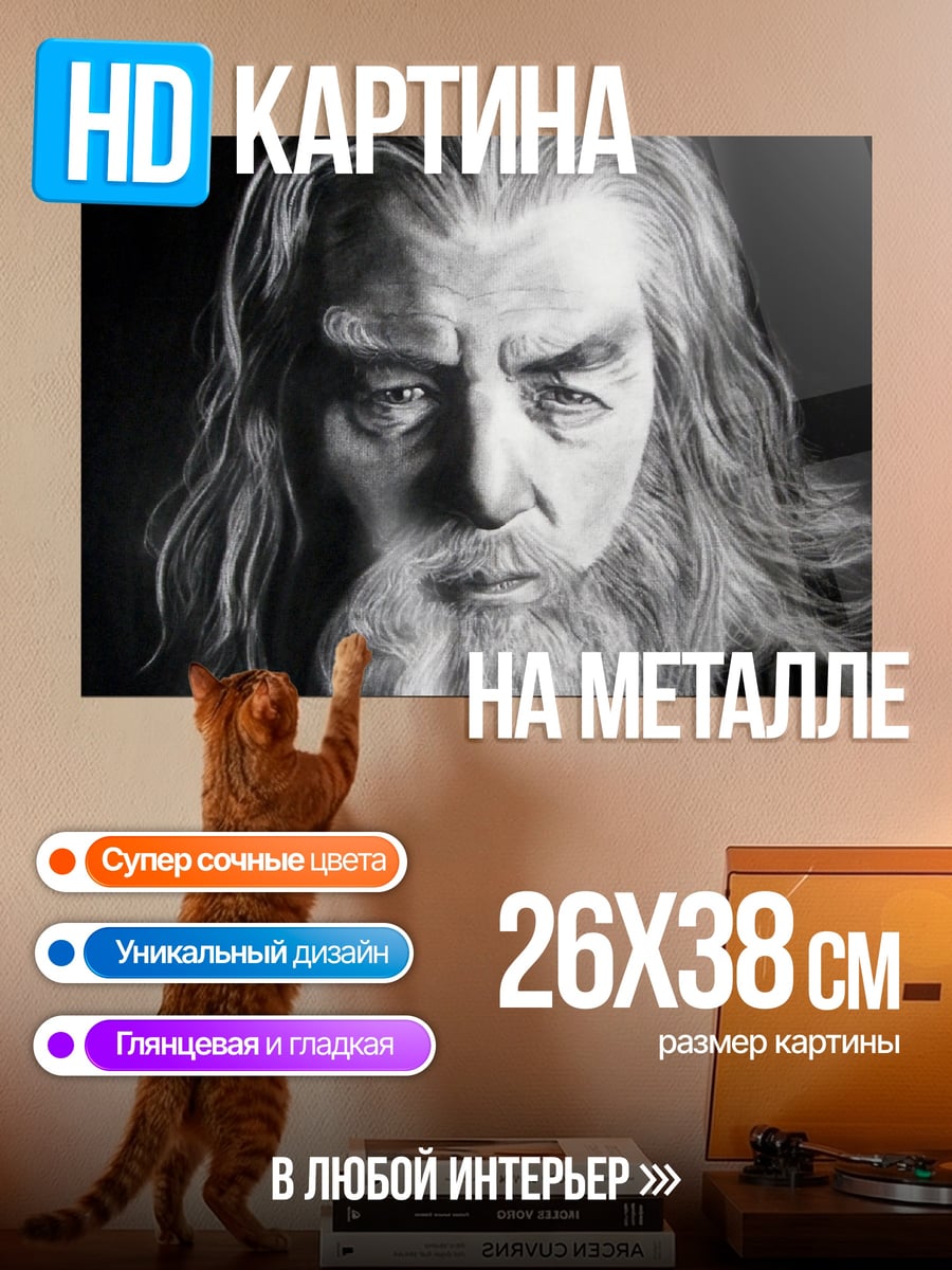 Картина на металле Мудрый волшебник