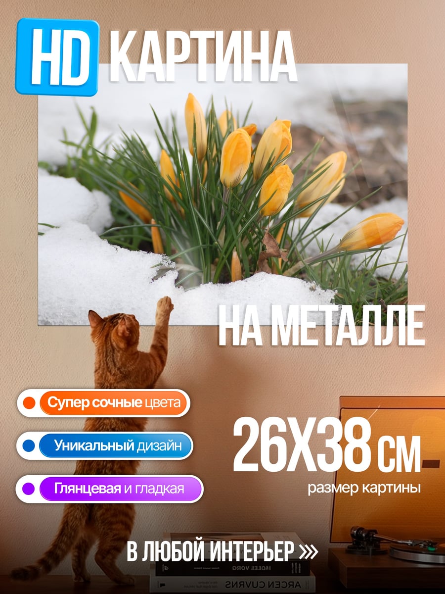 Картина на металле Весенние крокусы
