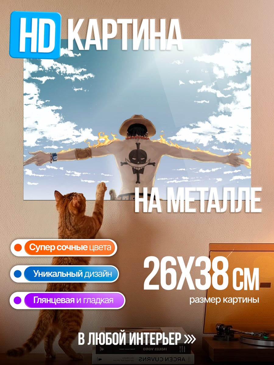Картина на металле пиратский флаг небо