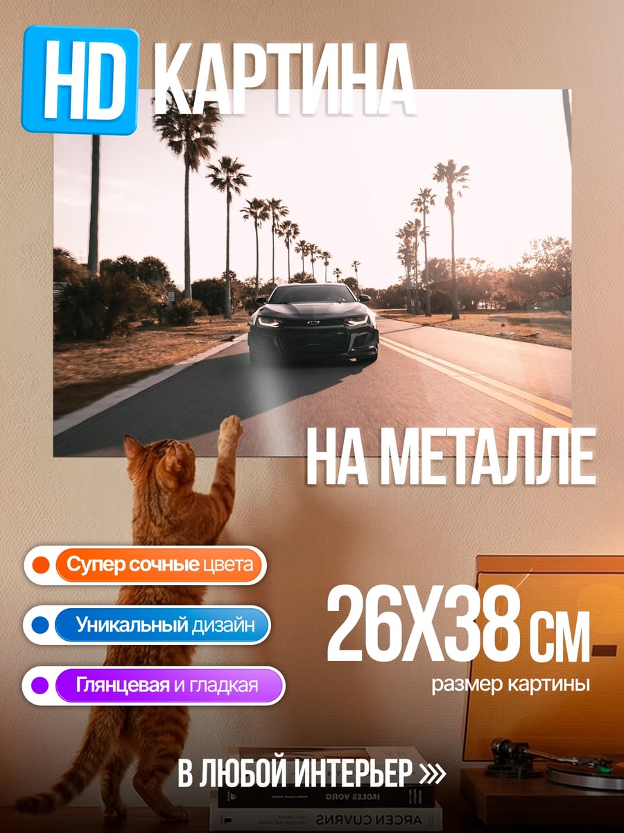 Картина на металле Черный автомобиль на дороге