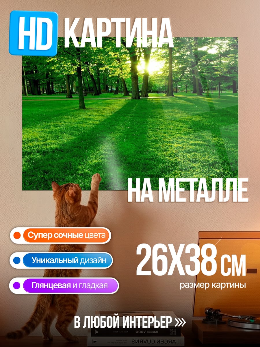 Картина на металле Солнечный лес