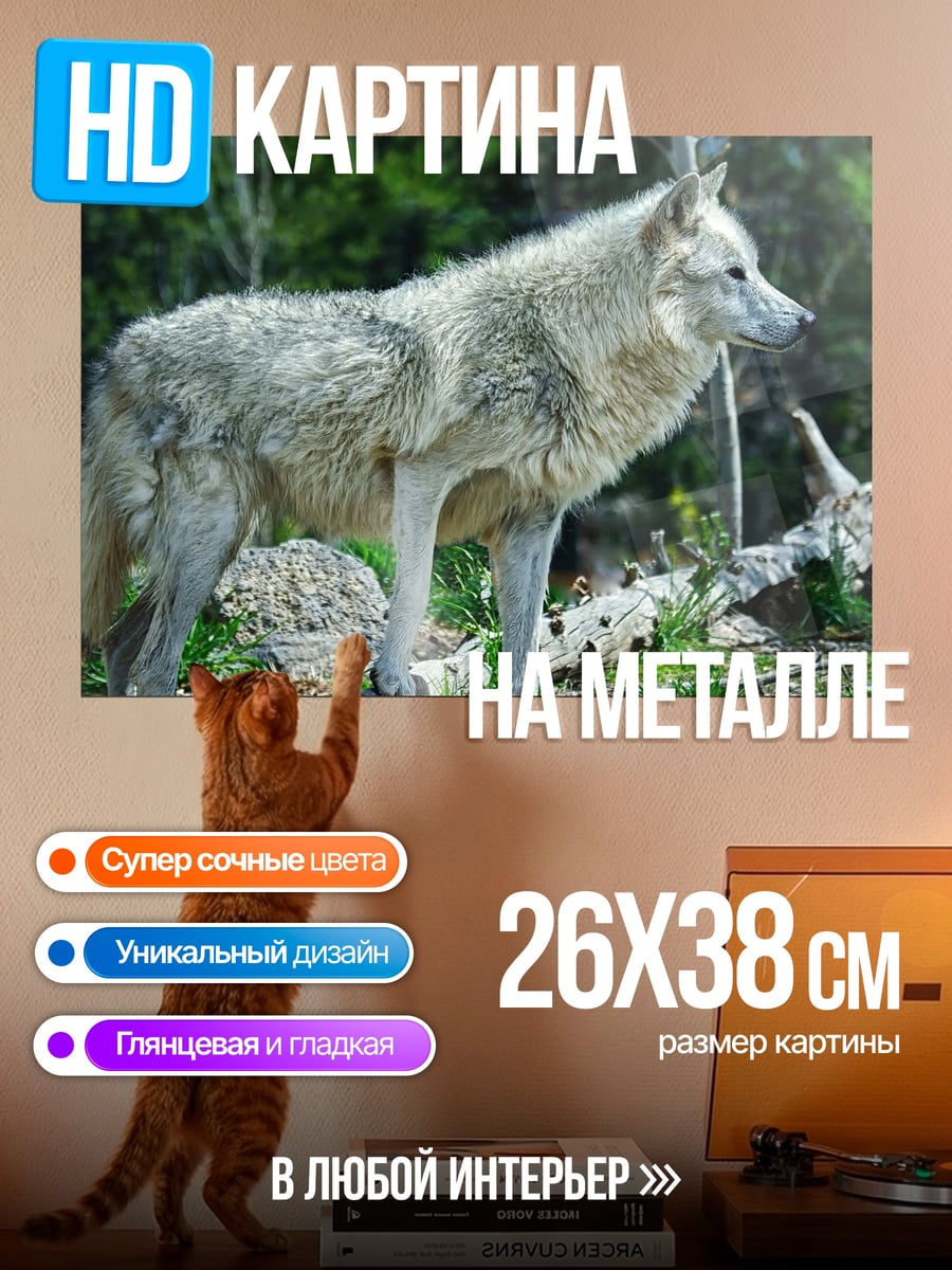 Картина на металле Белый волк в лесу