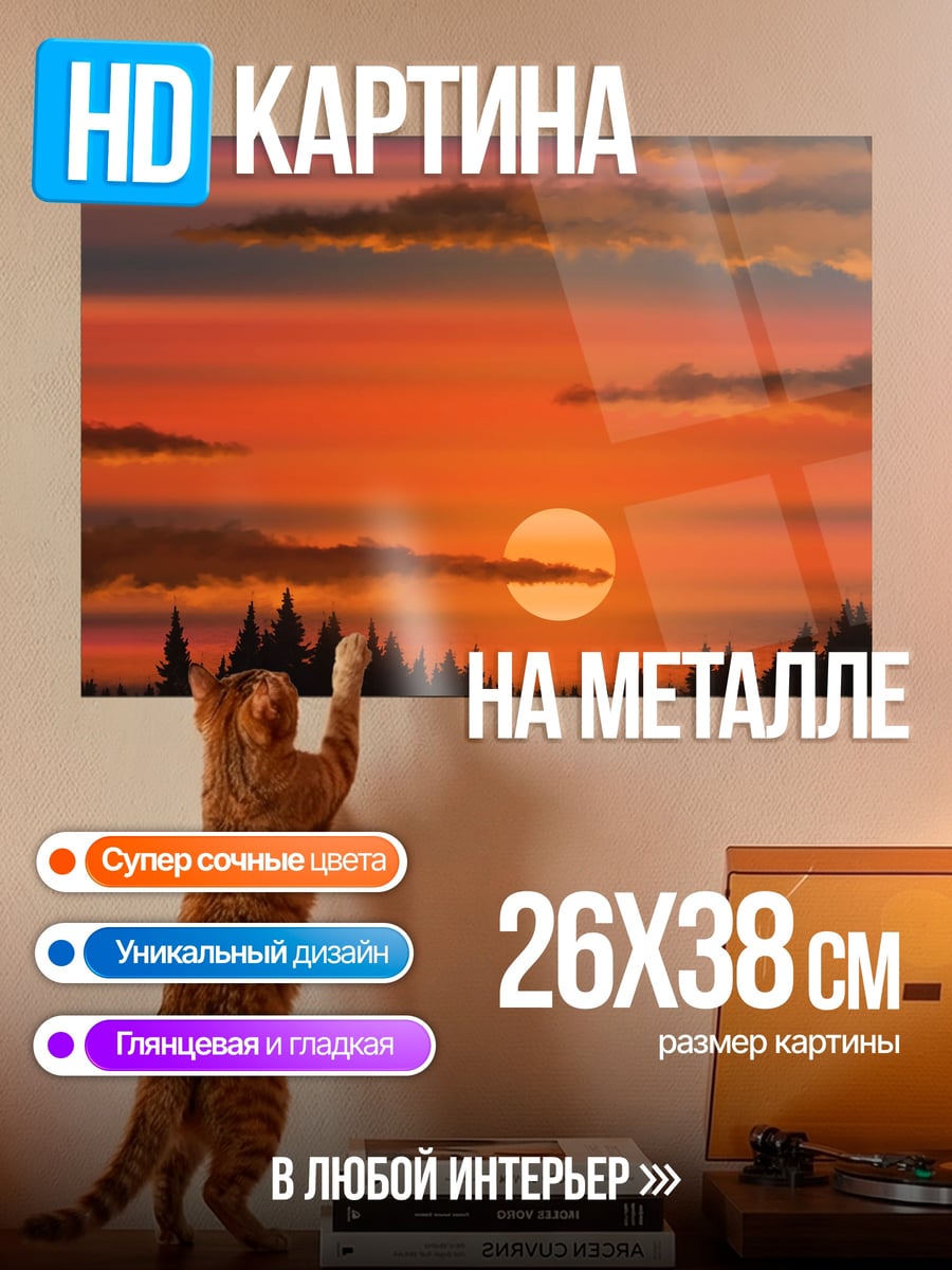 Картина на металле Закат над лесом
