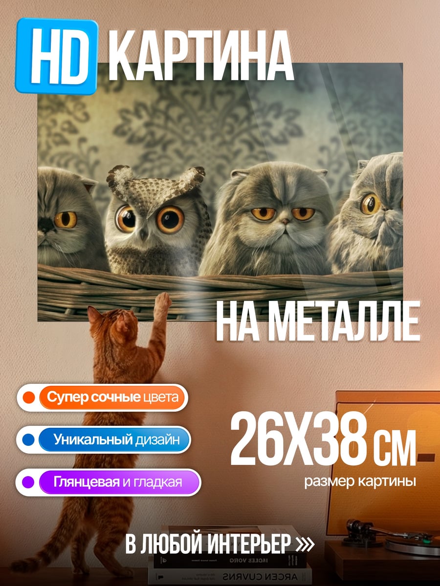 Картина на металле Совы и коты