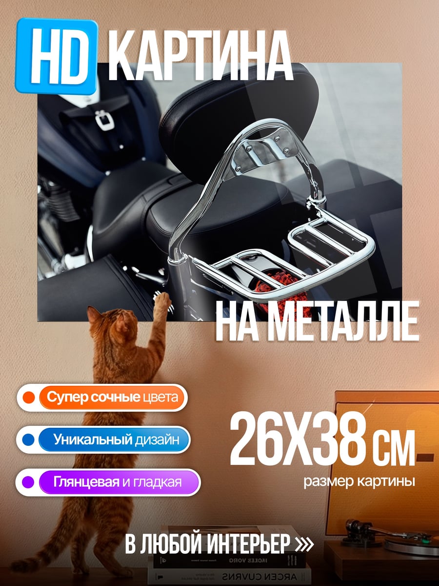 Картина на металле Хвост мотоцикла