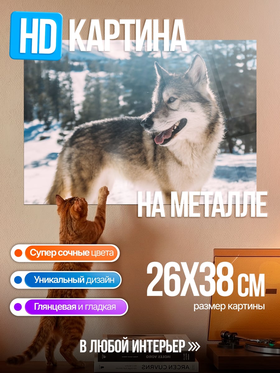 Картина на металле Волк в снегу