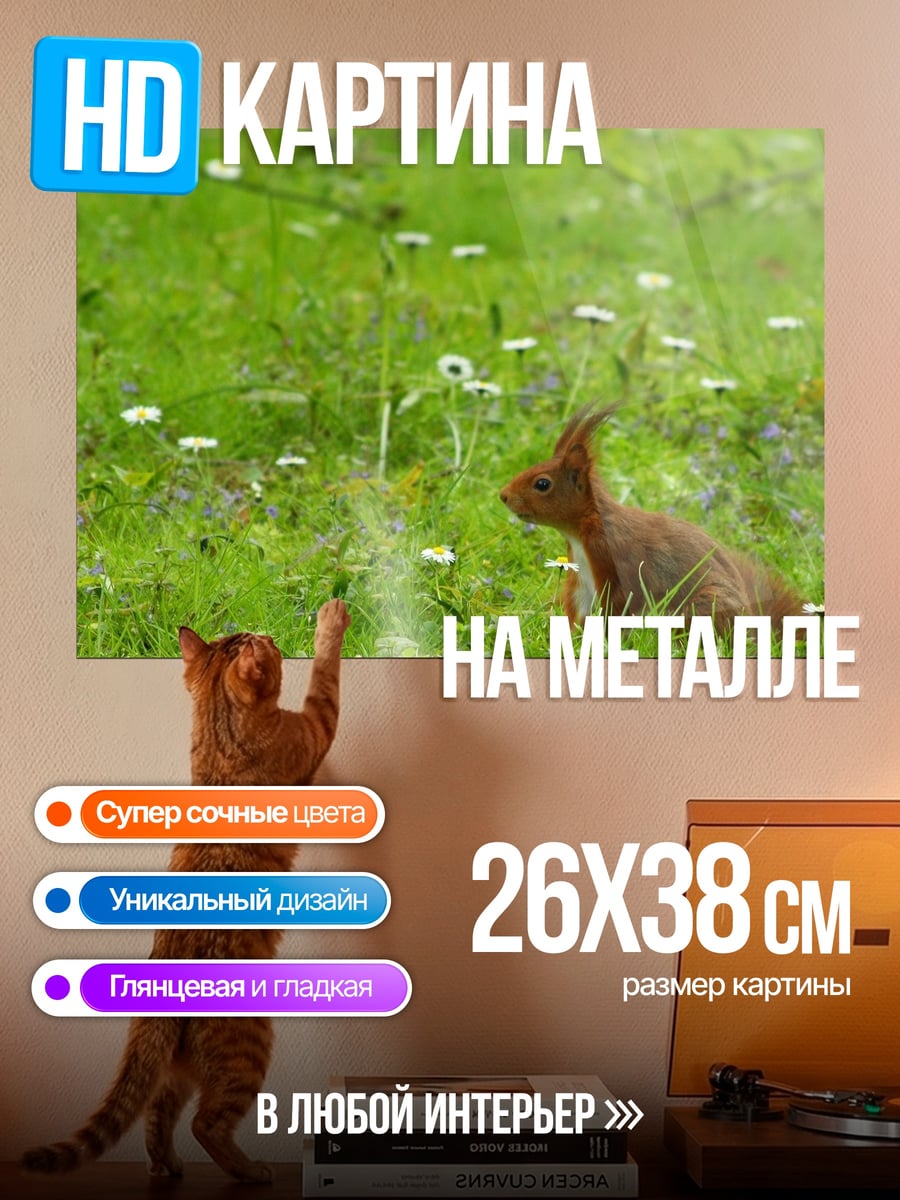 Картина на металле Белка на лугу