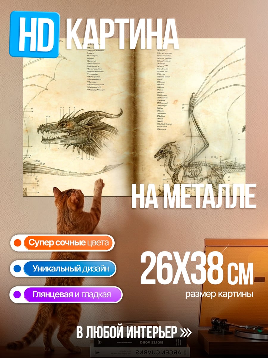 Картина на металле Анатомия дракона