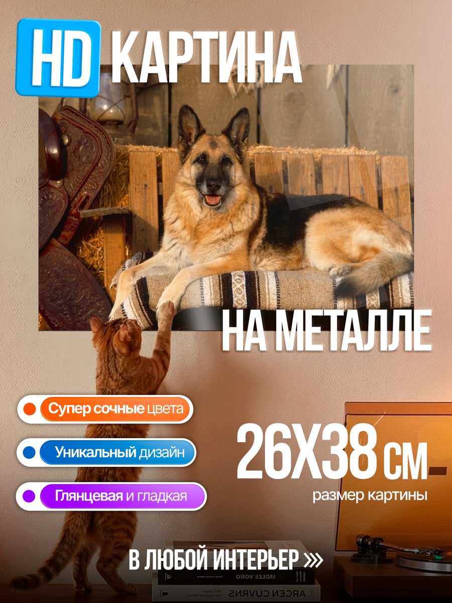 Картина на металле Немецкая овчарка