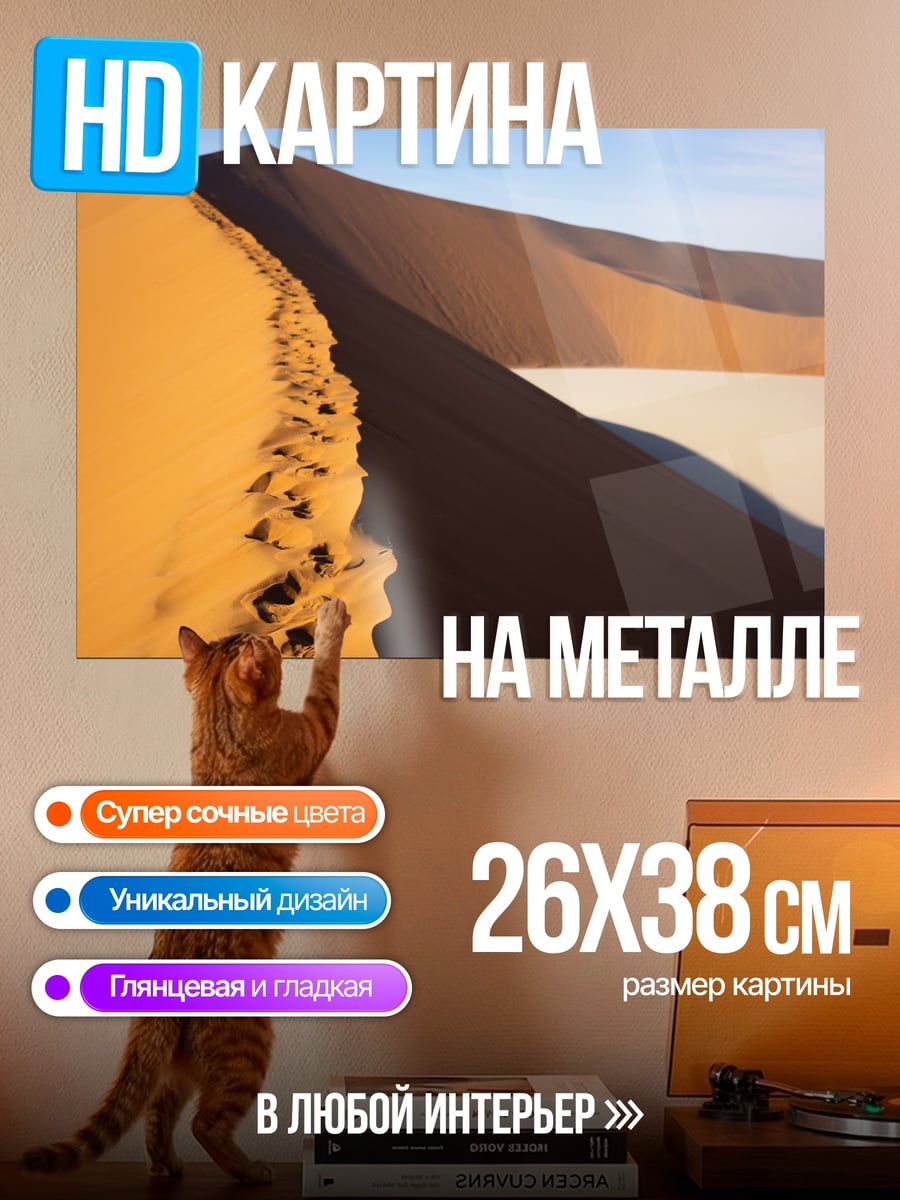 Картина на металле Песчаные дюны