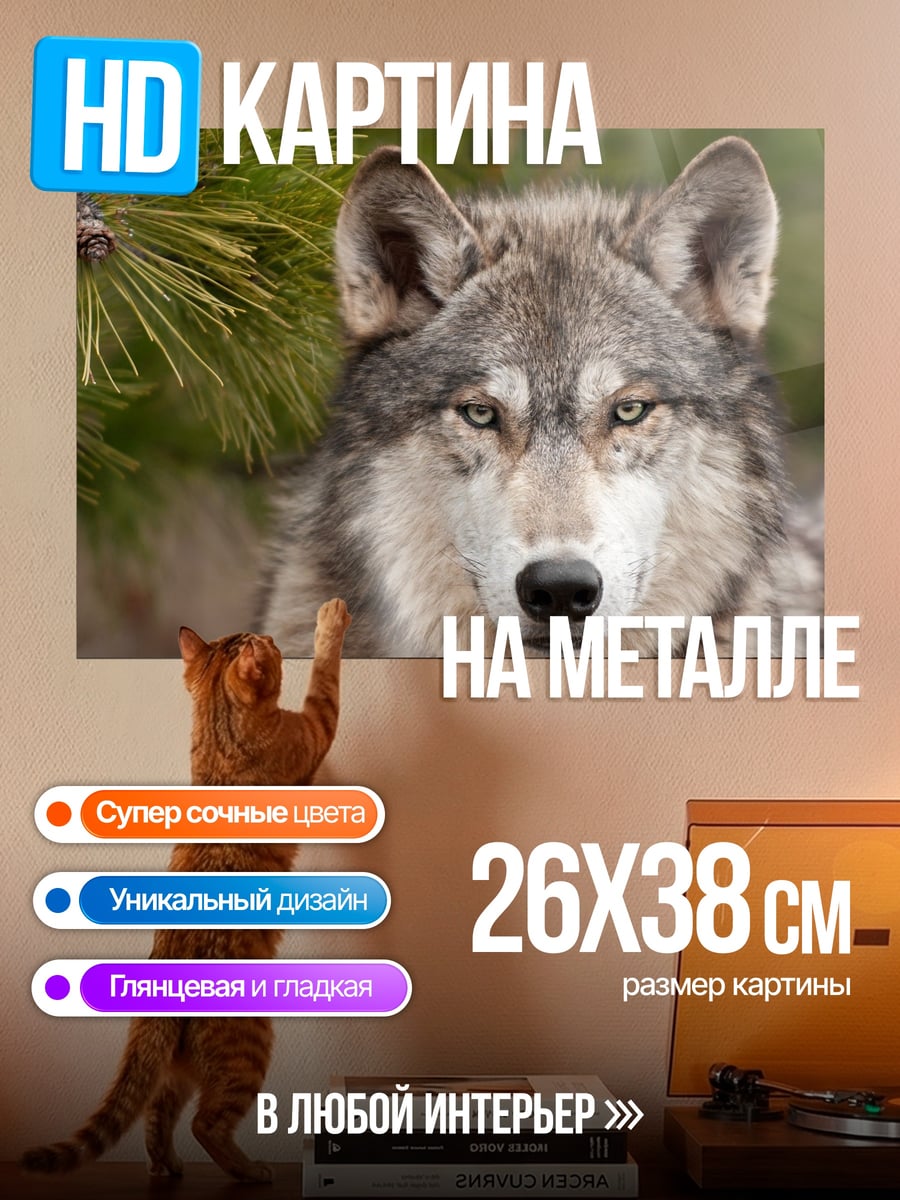 Картина на металле Портрет волка