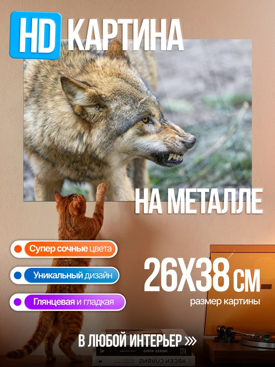Картина на металле Злой волк рычит