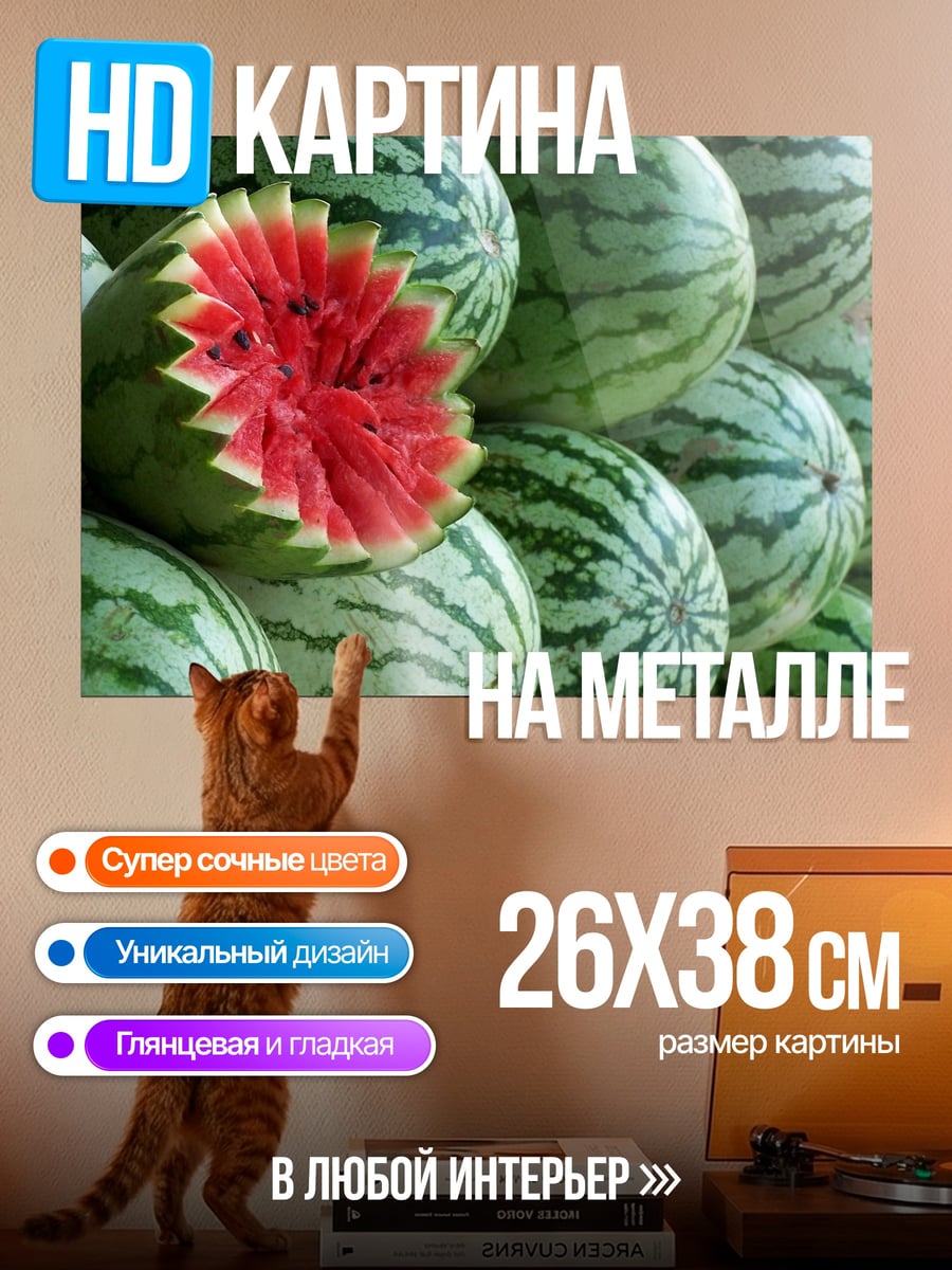Картина на металле Арбуз