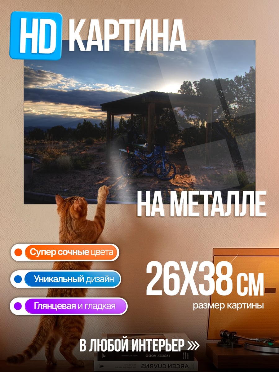 Картина на металле Вечерний отдых
