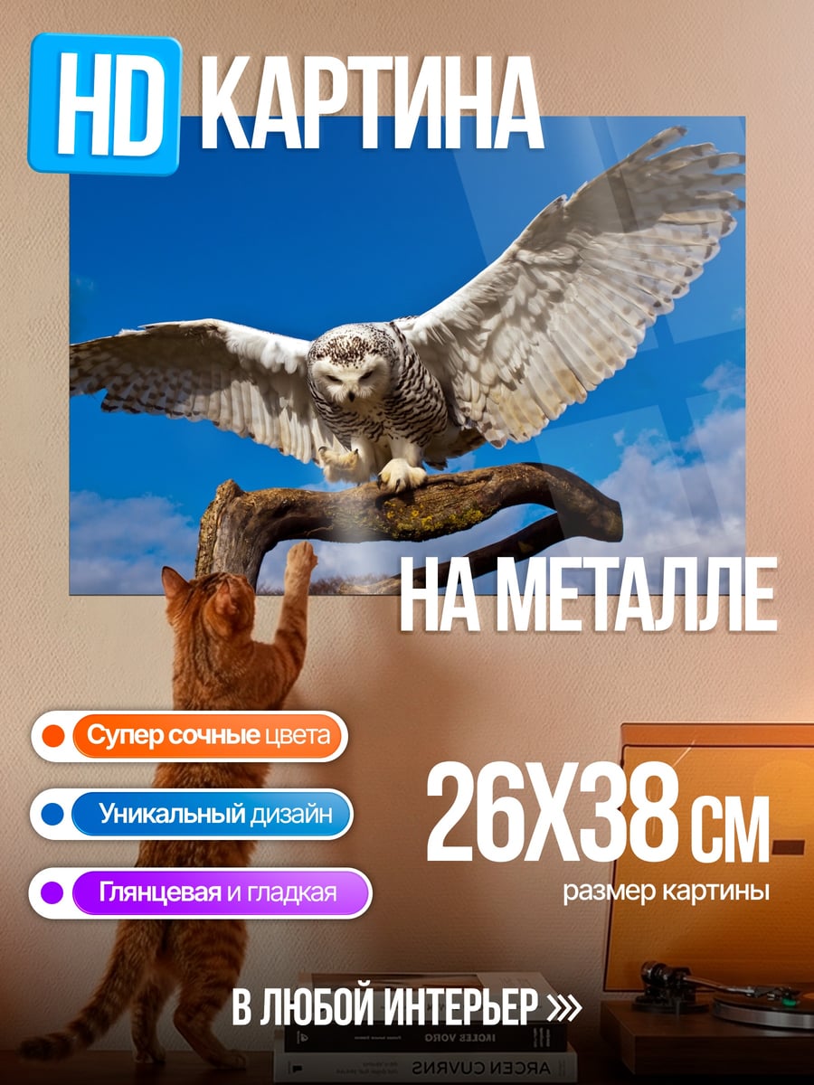 Картина на металле Белая сова в полёте