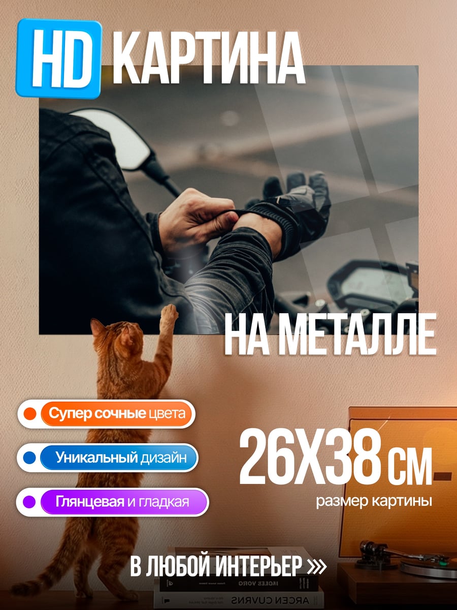 Картина на металле Мотоциклист надевает перчатки
