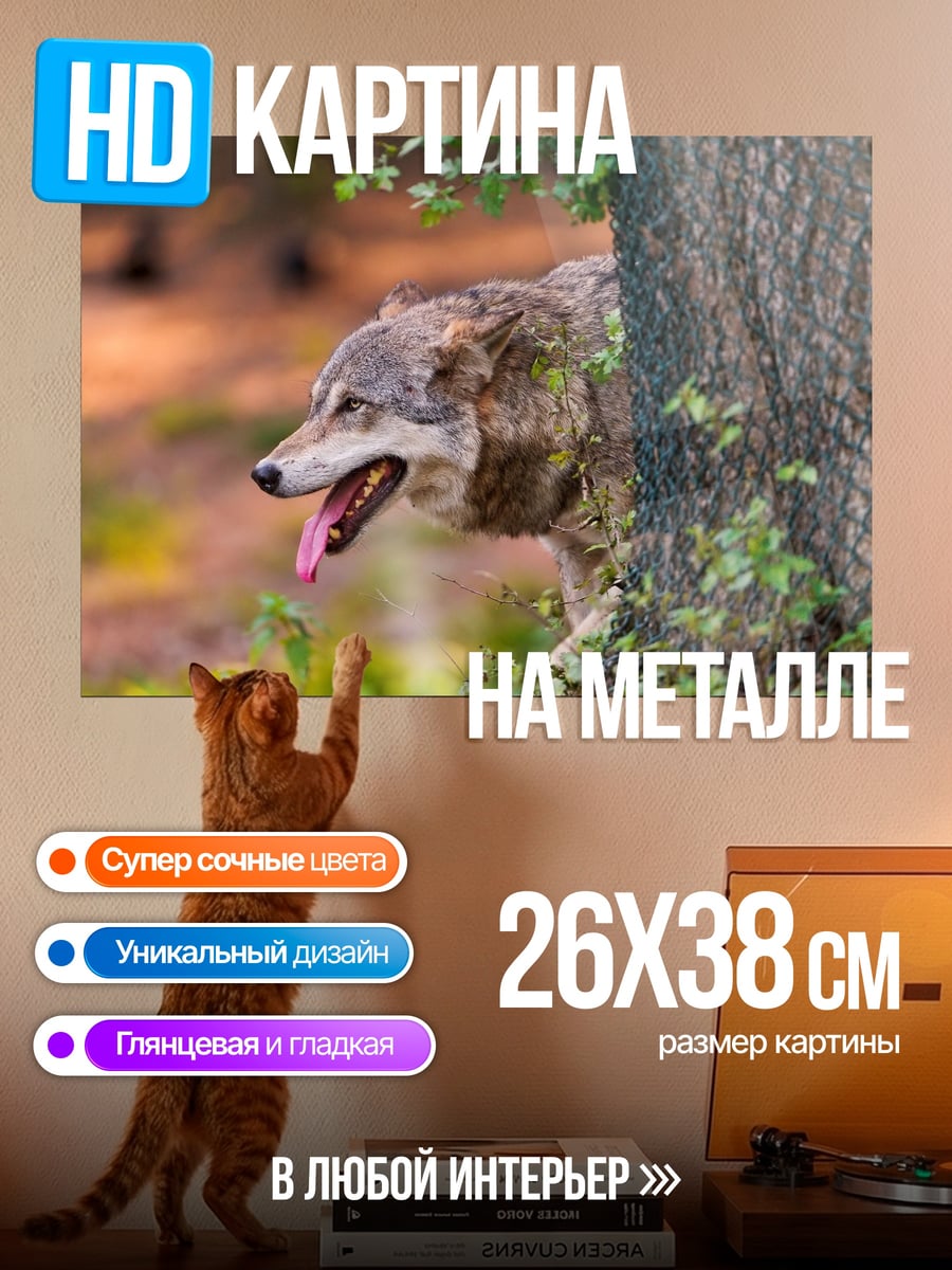 Картина на металле Волк выглядывает из-за дерева