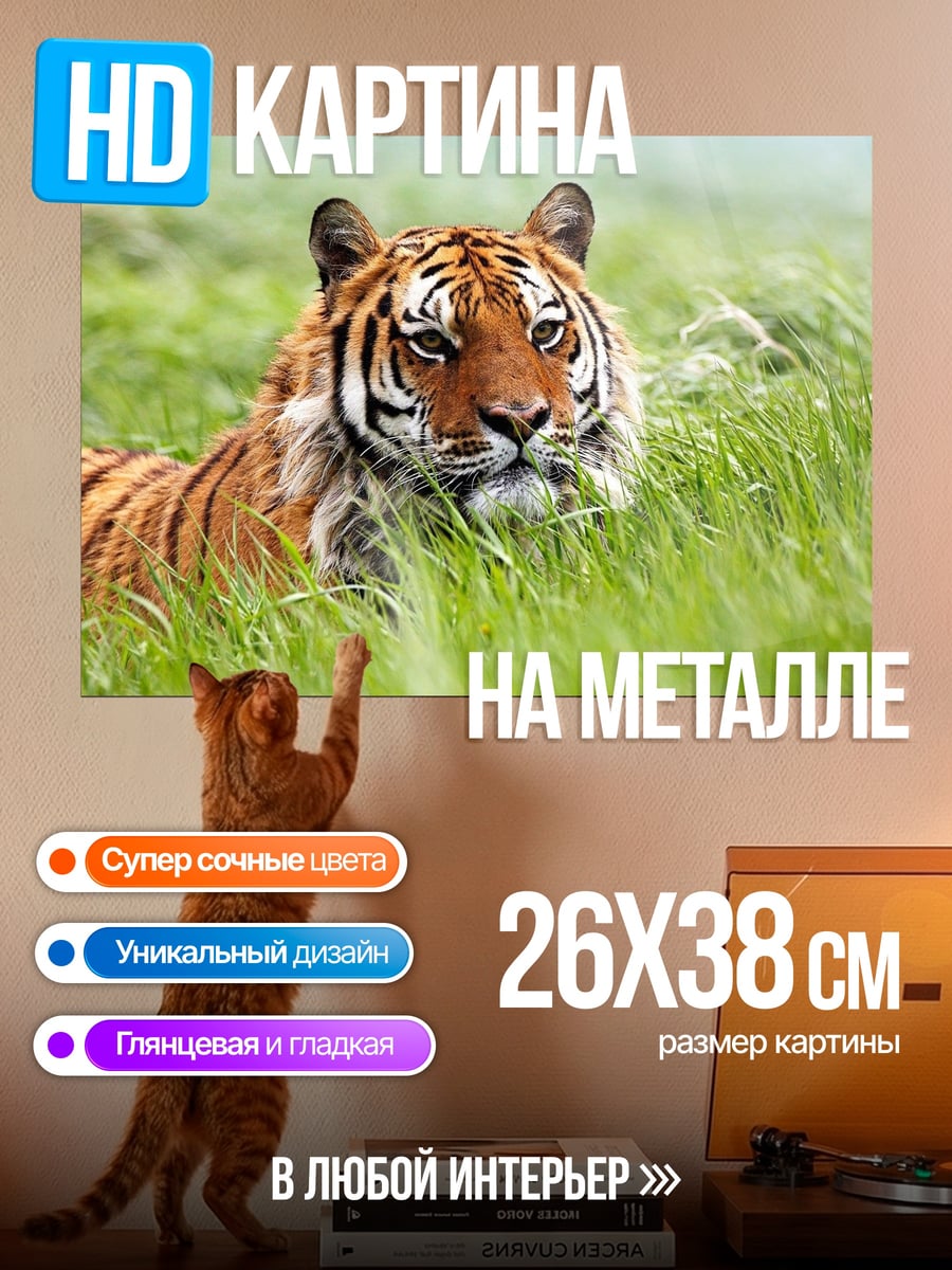 Картина на металле Тигр в траве