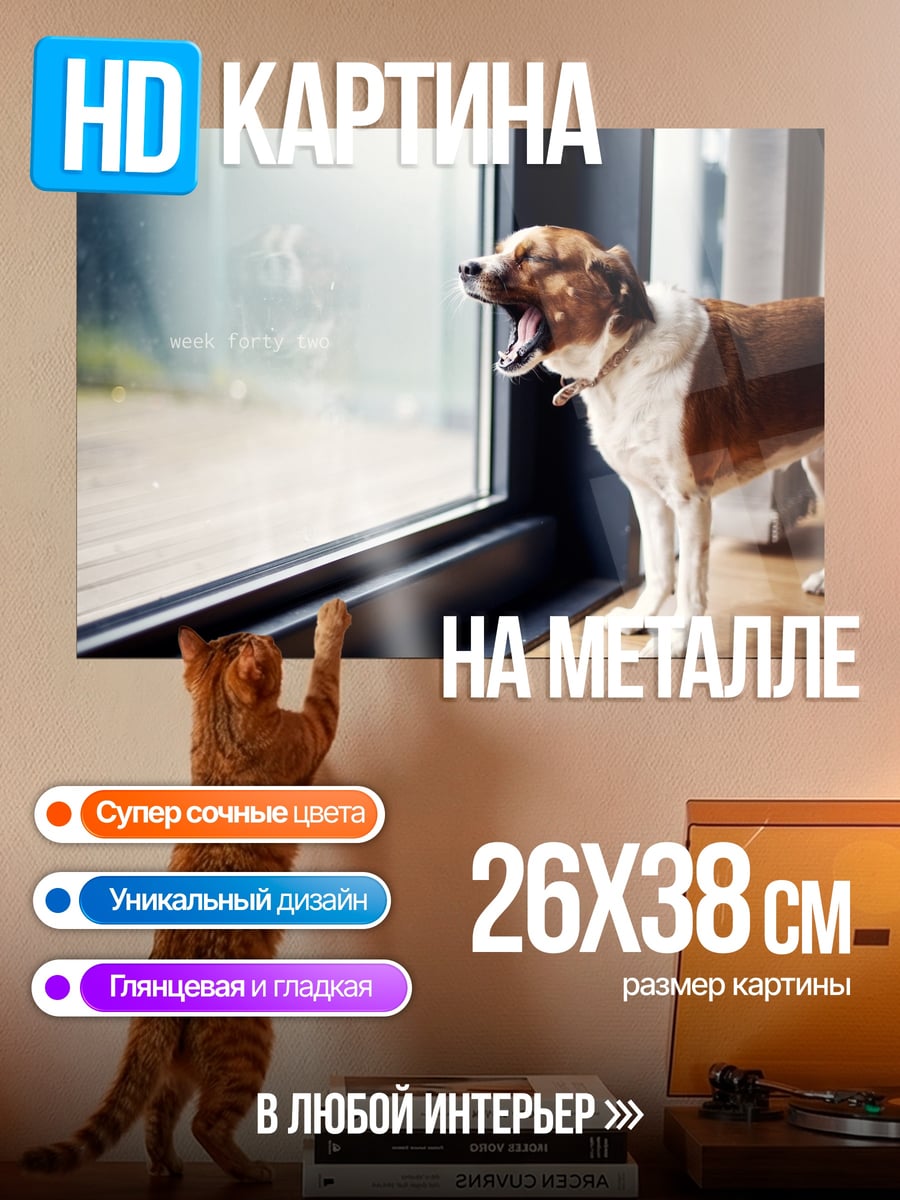 Картина на металле Зевающий пес