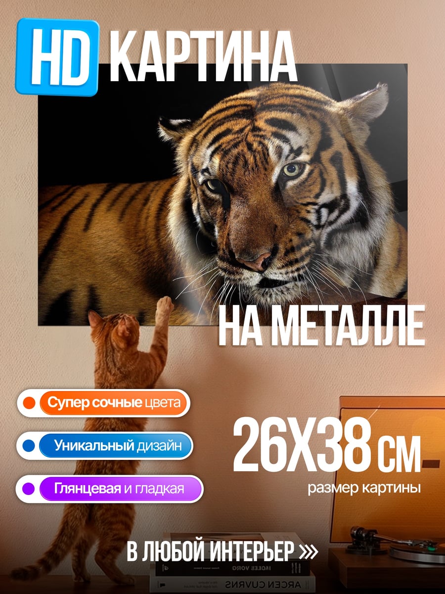 Картина на металле Портрет тигра