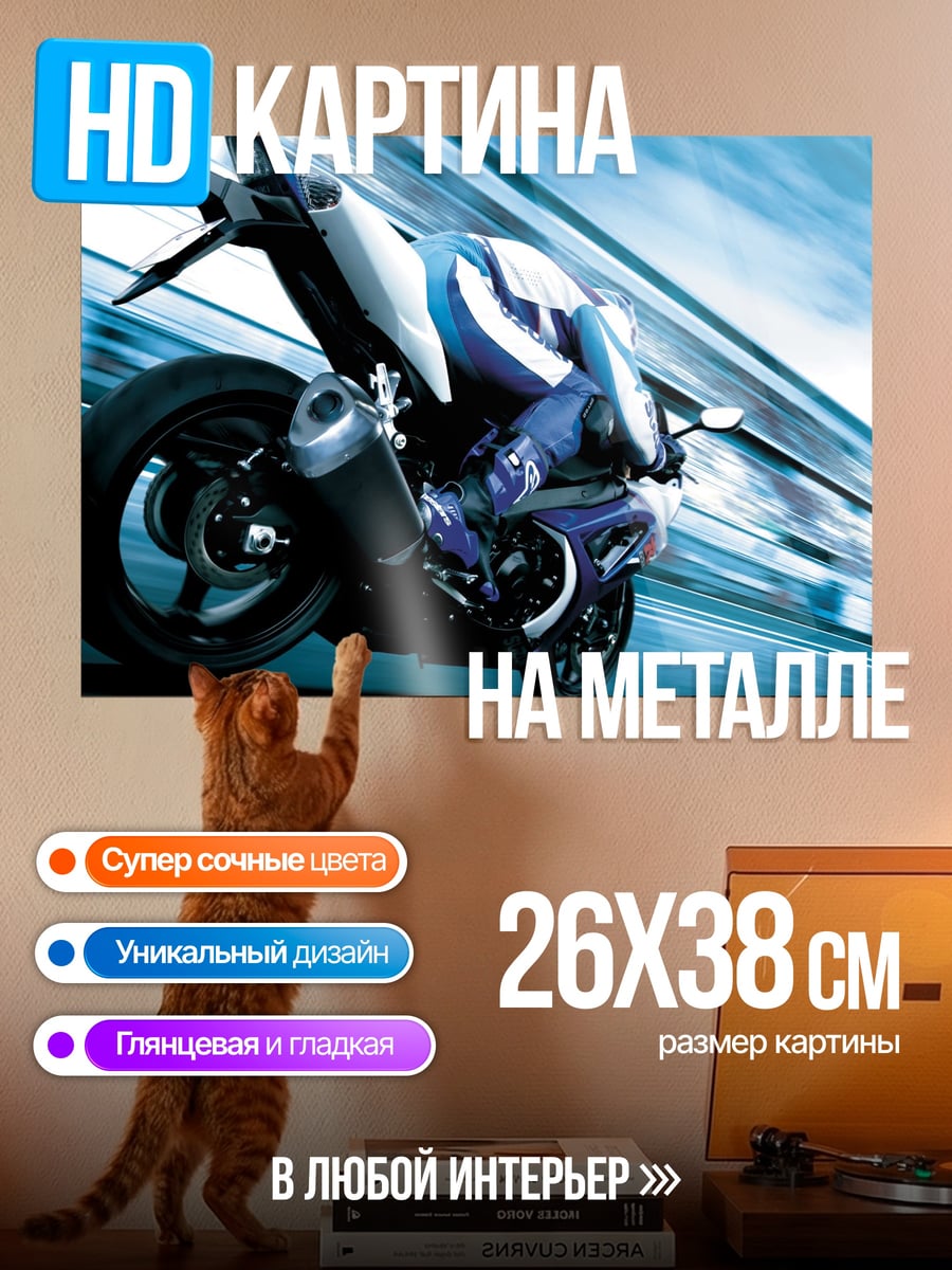 Картина на металле Гонщик на мотоцикле