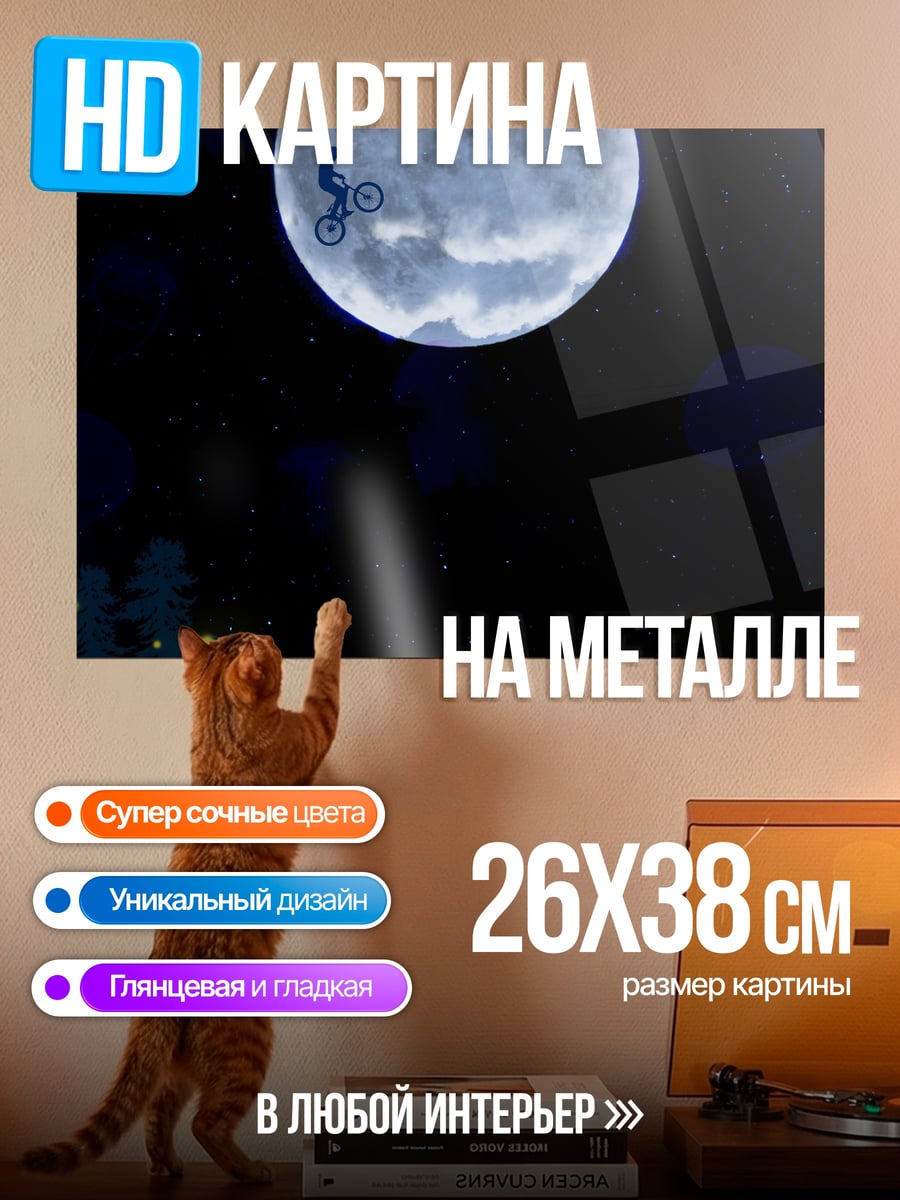Картина на металле Велосипедист на луне