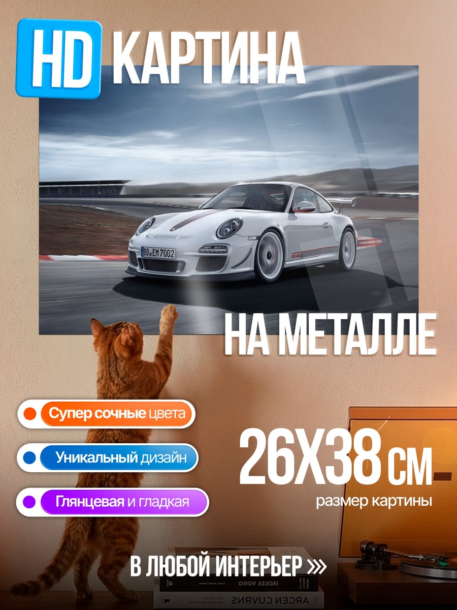 Картина на металле Белый Порше на треке