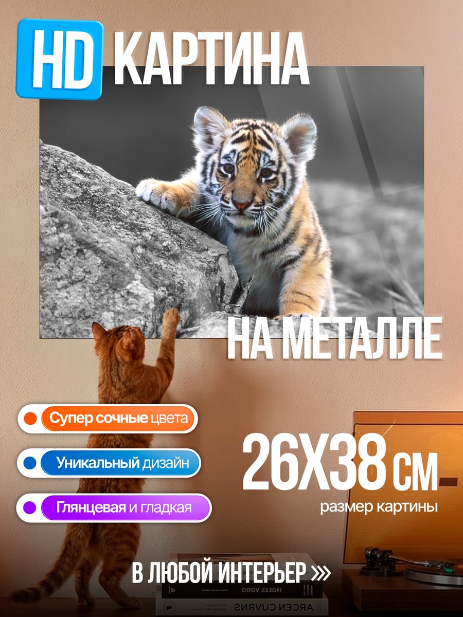 Картина на металле Тигренок на камнях