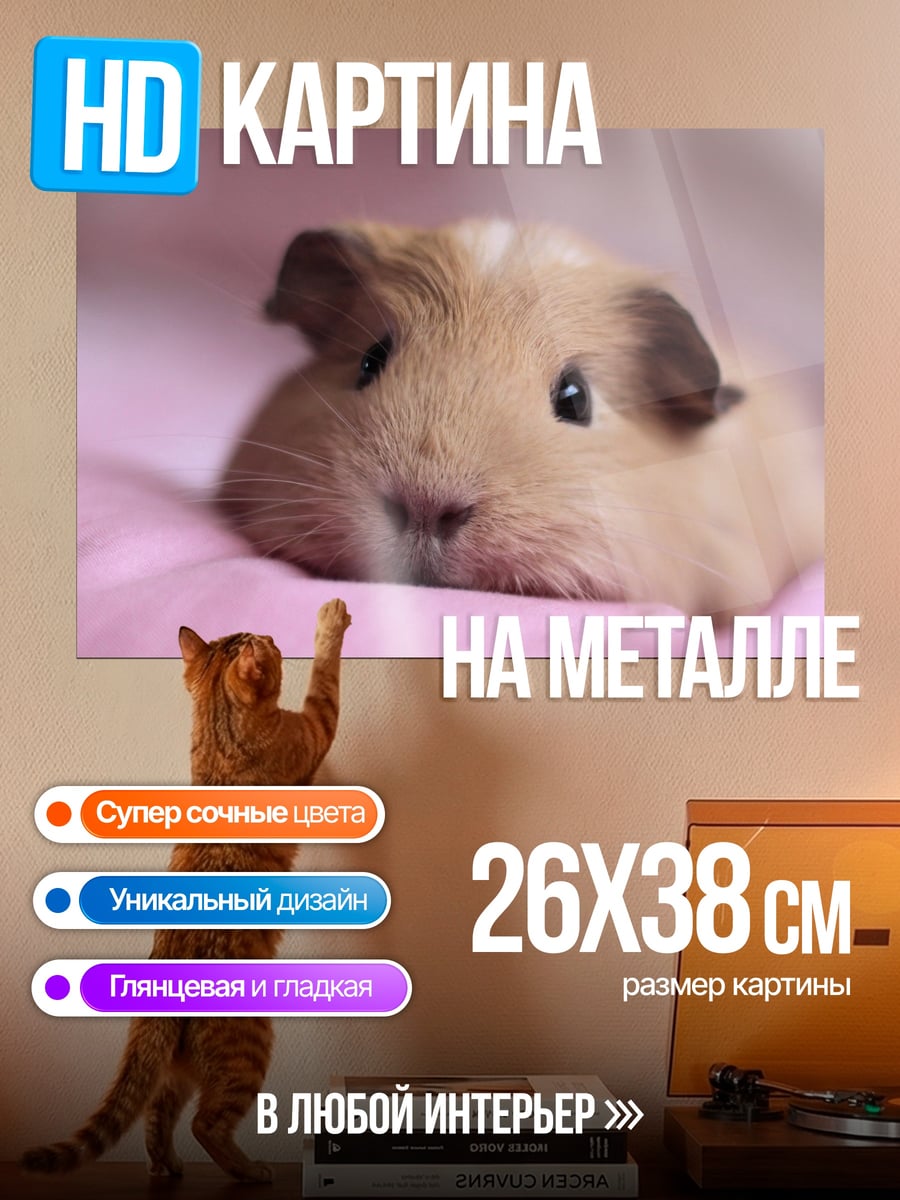 Картина на металле Морская свинка
