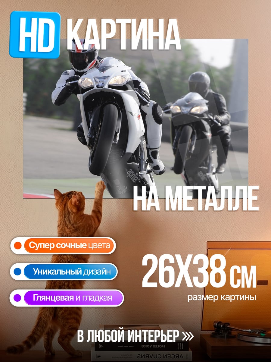 Картина на металле Гонщики на мотоциклах
