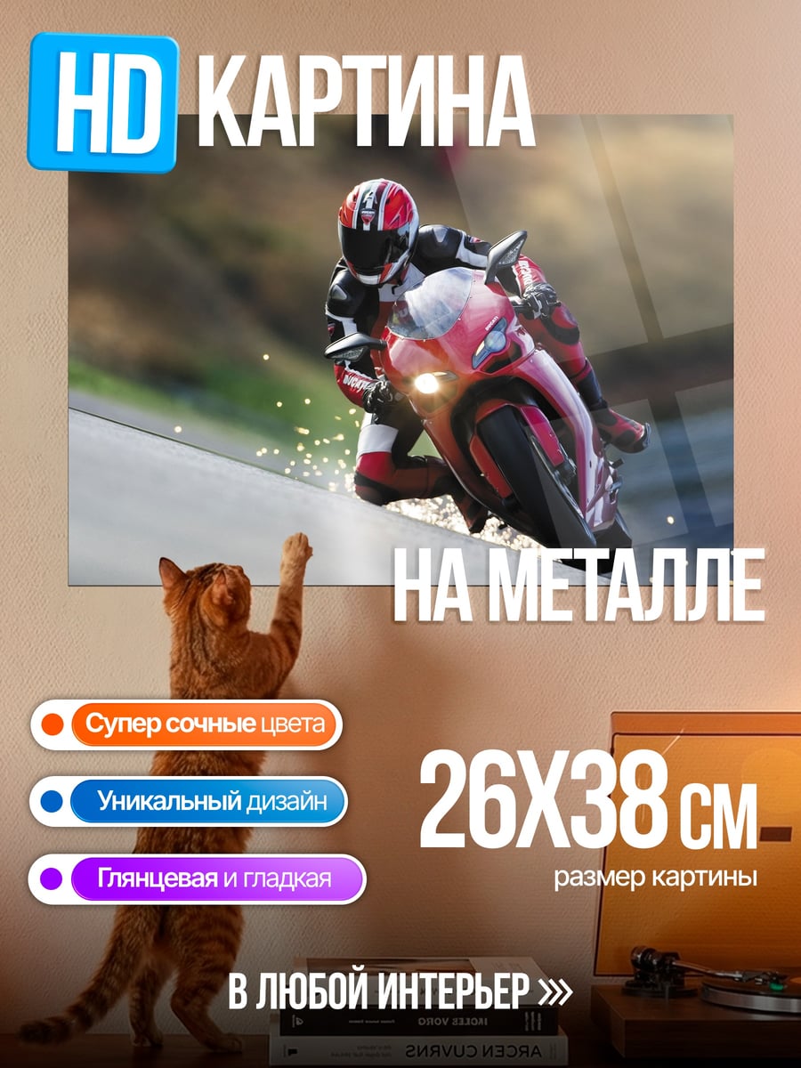 Картина на металле Гонщик на мотоцикле