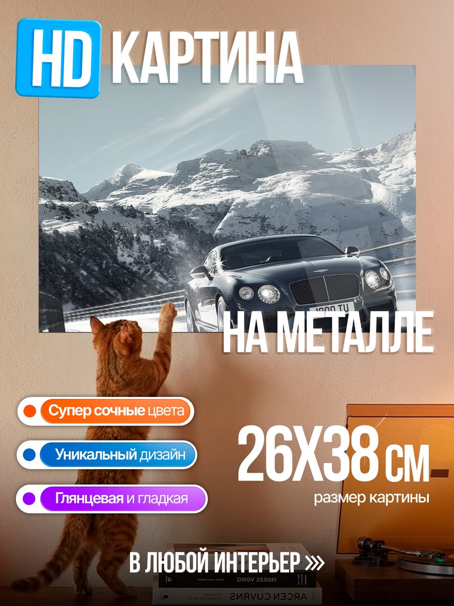 Картина на металле Bentley в горах
