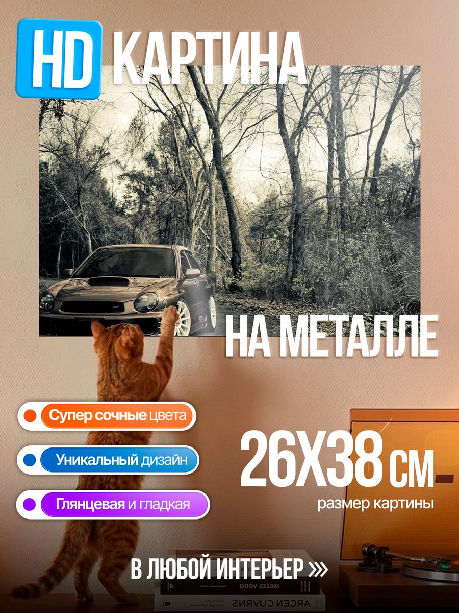 Картина на металле Автомобиль в лесу