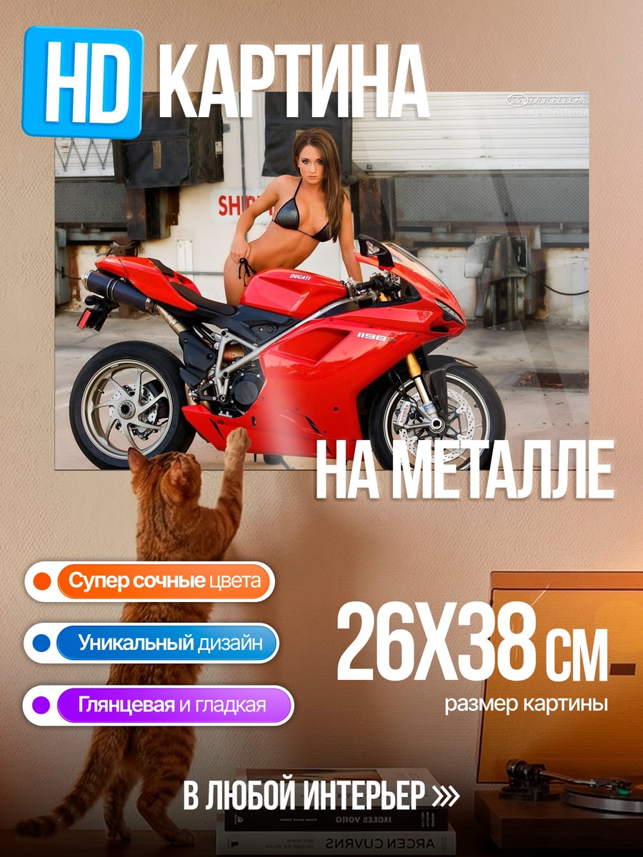 Картина на металле Девушка на мотоцикле