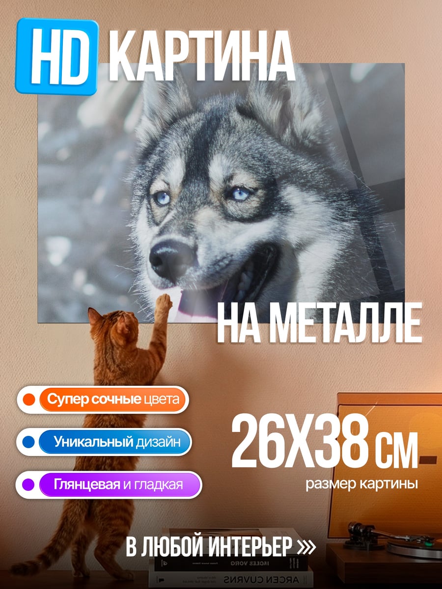 Картина на металле Волк с высунутым языком