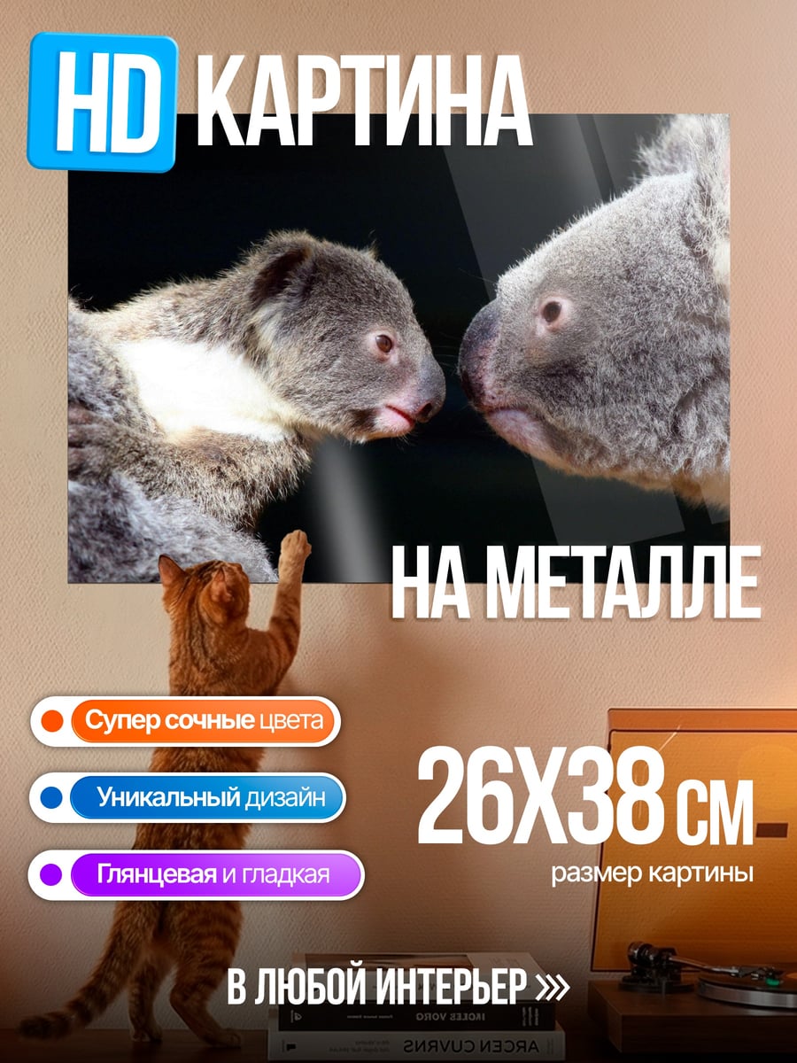 Картина на металле Две коалы близко