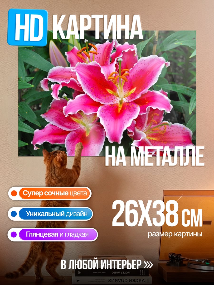 Картина на металле Яркие лилии цветы