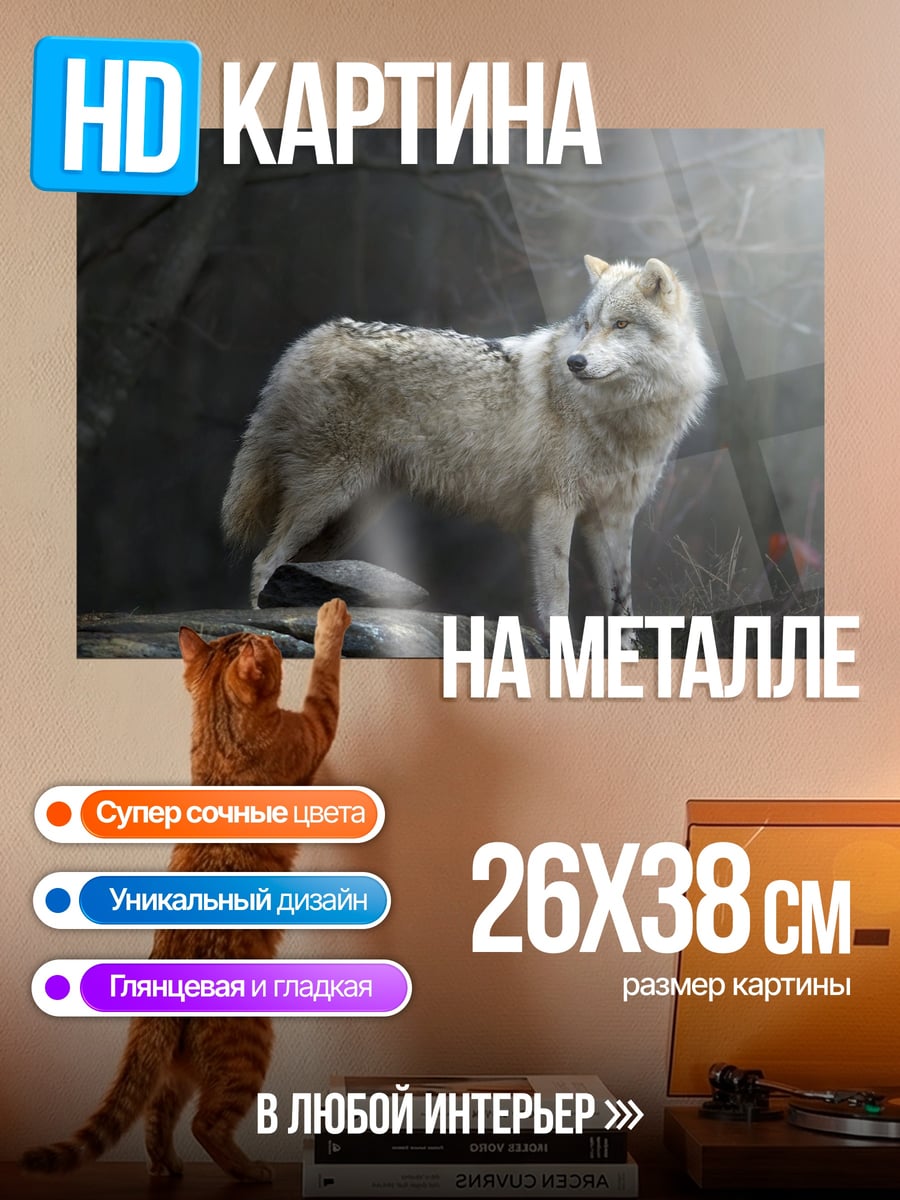 Картина на металле Белый волк на камне