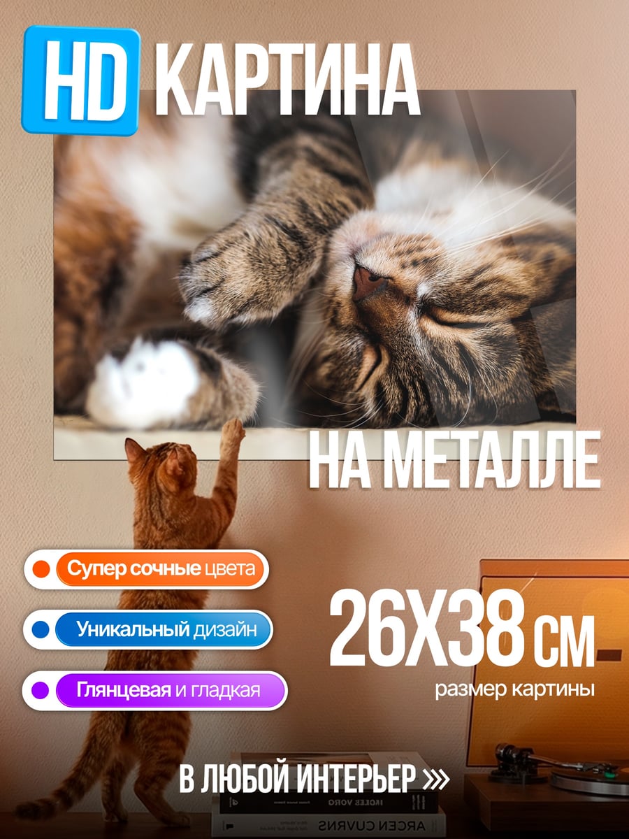 Картина на металле Спящий кот