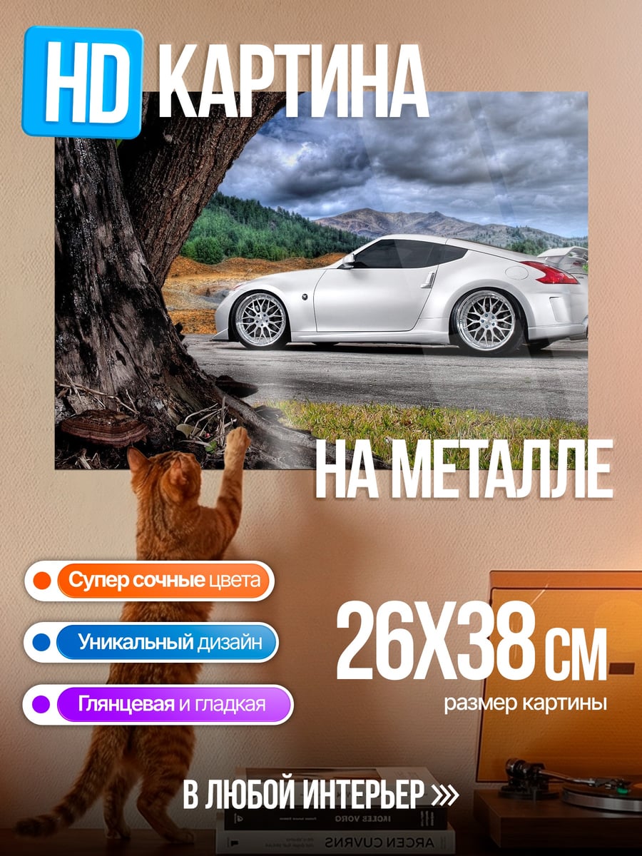 Картина на металле Белое купе