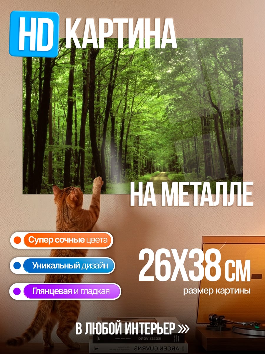 Картина на металле Лесная дорога солнце