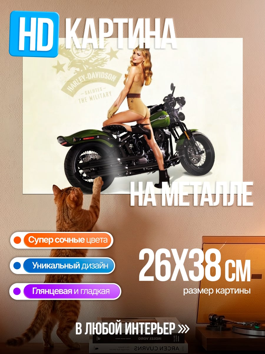 Картина на металле девушка на мотоцикле