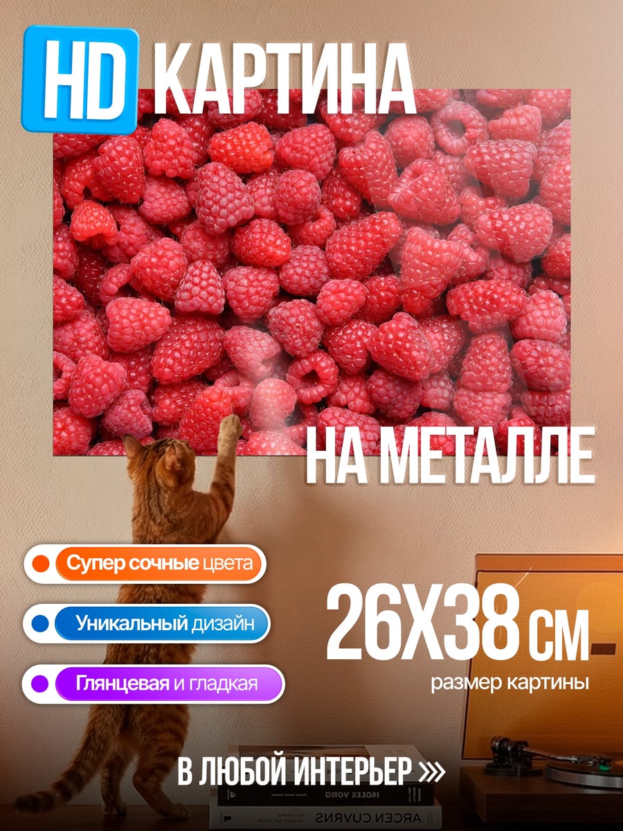 Картина на металле Крупный план малины