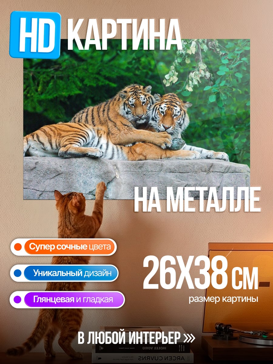 Картина на металле Два тигра лежа